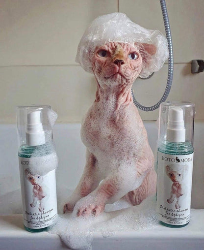 Probiotic Shampoo for Sphynx Cats (4.22)