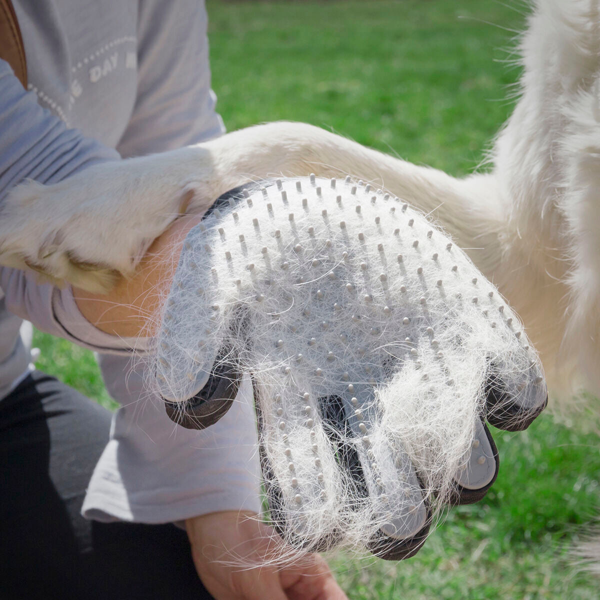 Haustierbürste und Massagehandschuh Relpet InnovaGoods