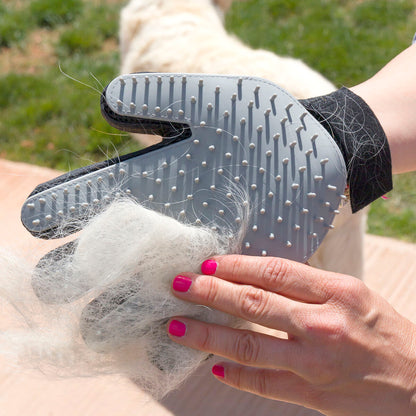 Haustierbürste und Massagehandschuh Relpet InnovaGoods