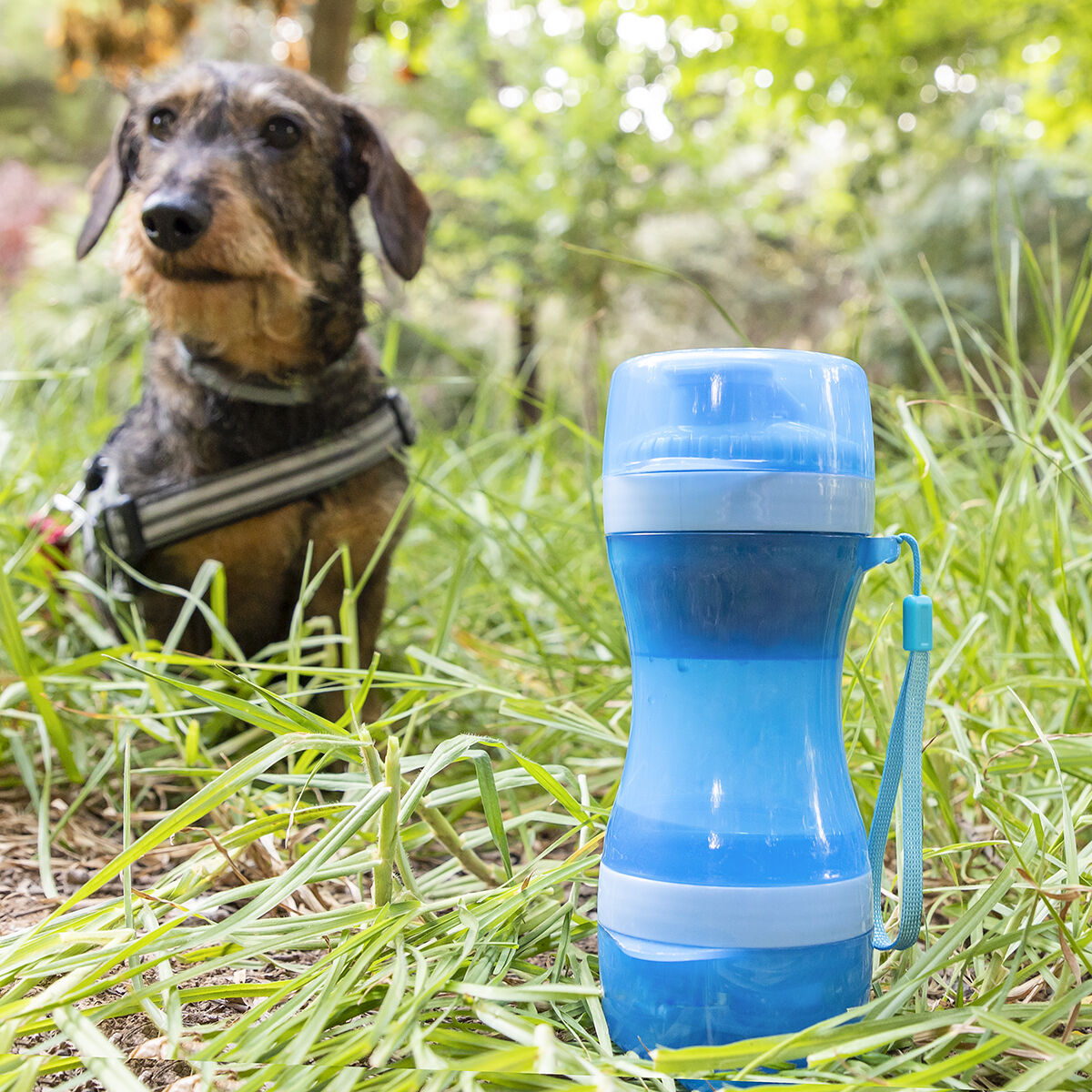 2-in-1 Portable Dog Water Bottle with Built-In Bowl and Food Storage