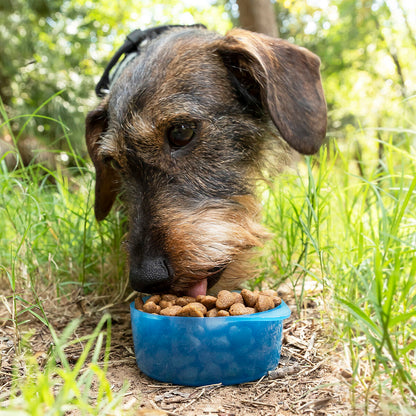 2-in-1 Portable Dog Water Bottle with Built-In Bowl and Food Storage