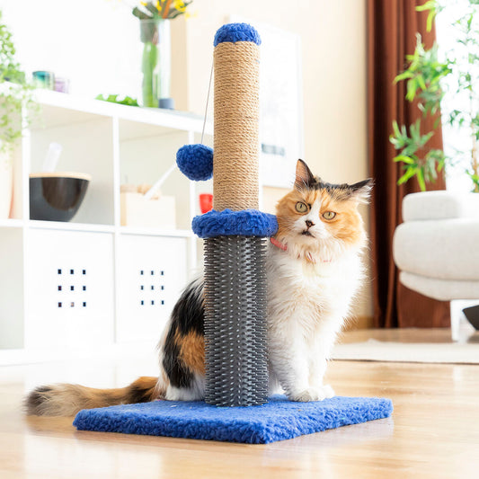 Cat Scratching and Massage Post – Dual Function Scratching Post and Massage Toy