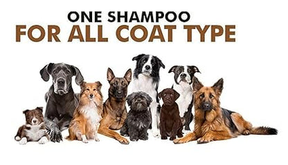 Shampoo für Hunde und Katzen – Shampoo für alle Hunde, 330 ml (Kurzfell)