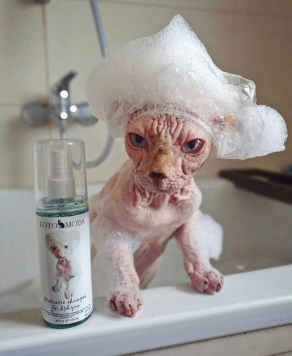 Probiotic Shampoo for Sphynx Cats (4.22)